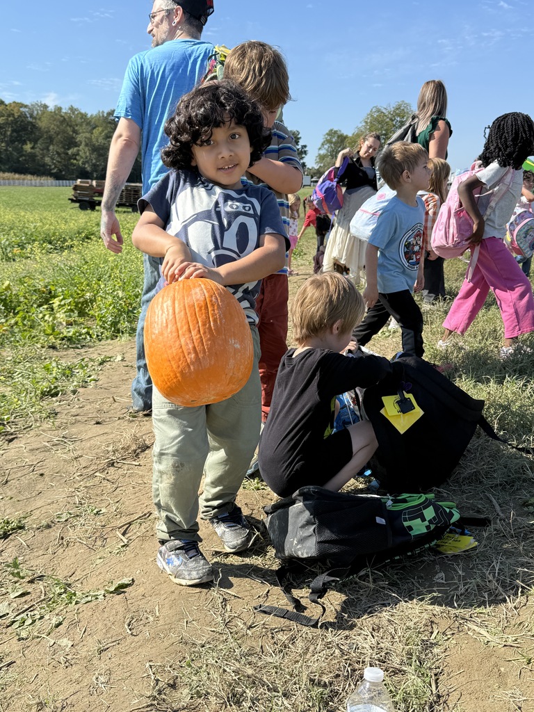 Pumpkin patch