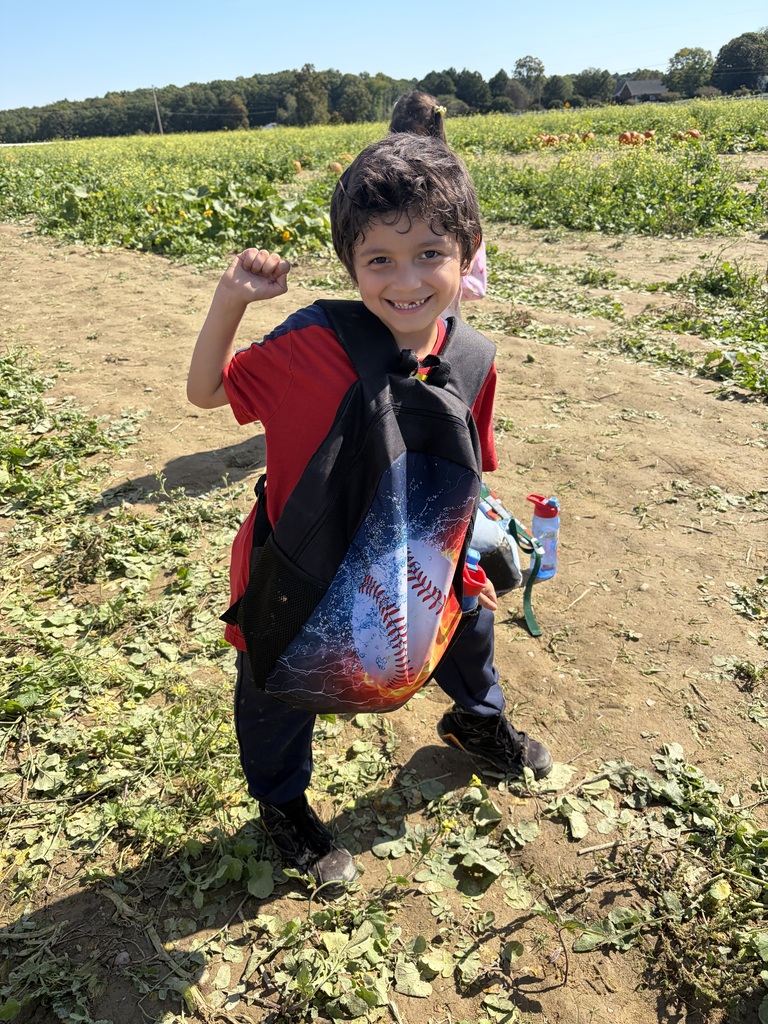Pumpkin patch