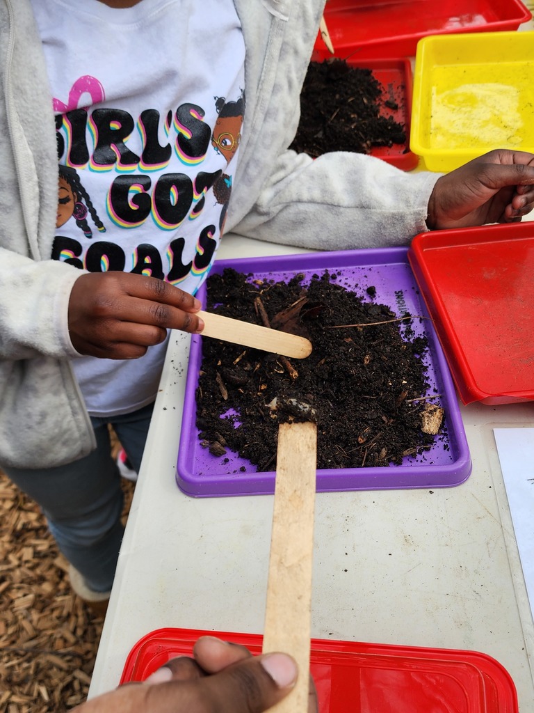 Students dig through dirt with popsicle sticks.