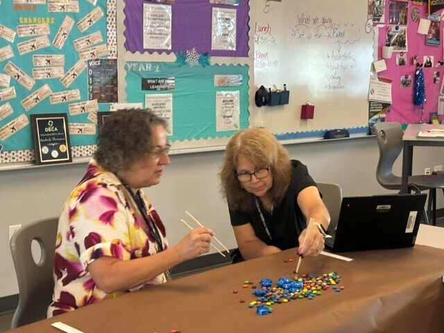 Diverse Learners Participants