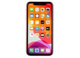 Cell phone policy