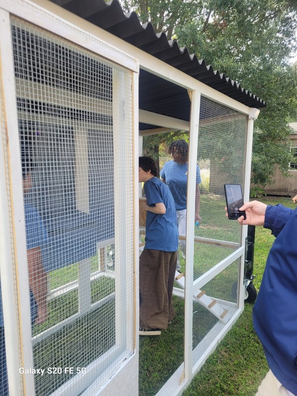 students inspect their new chicken tractor