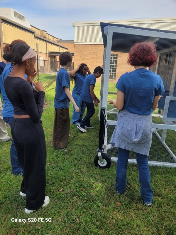 students inspect their new chicken tractor