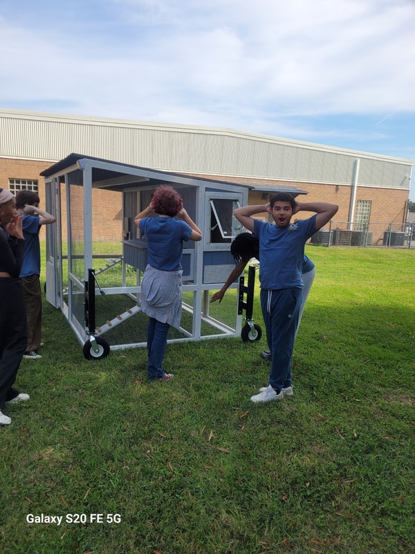 students inspect their new chicken tractor