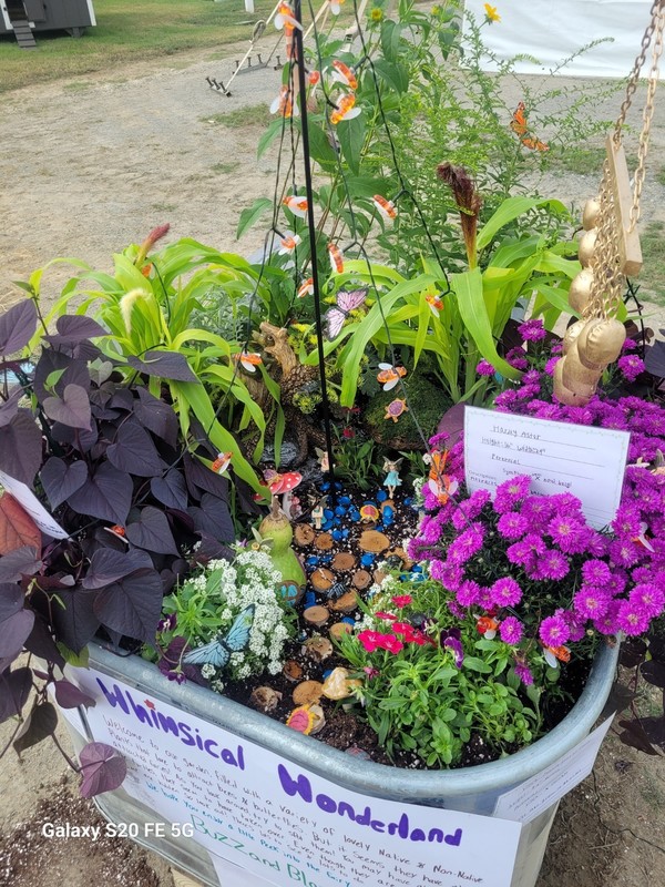 polinato garden submission