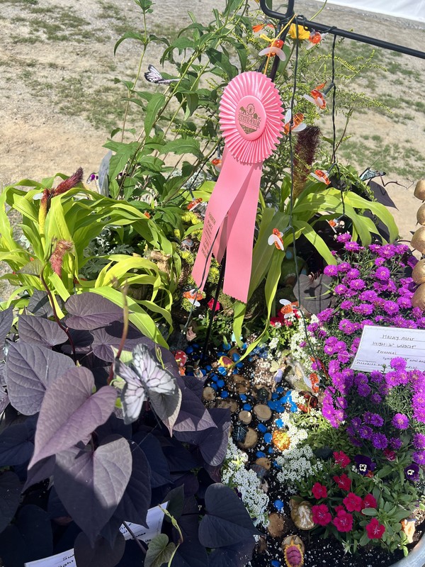 garden with 4th place ribbon