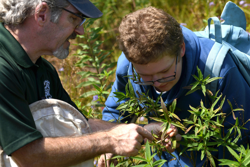 Stephen Living of the Virginia Department of Wildlife Resources shows a student a monarch butterfly caterpillar on a milkweed plant at the J.R. Tucker H.S. pollinator habitat.
