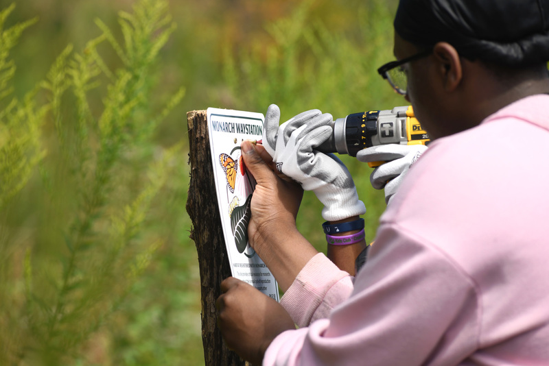Students install a "Monarch Waystation " sign.