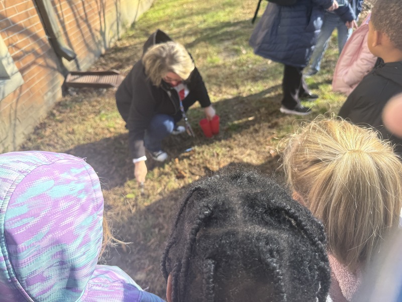 Pictures of students during the MWEE experience