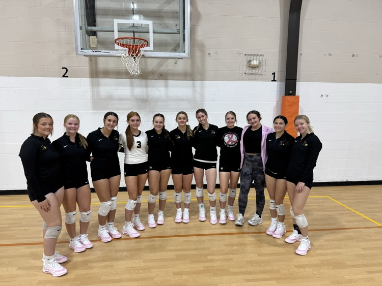 Lady Cats VB 