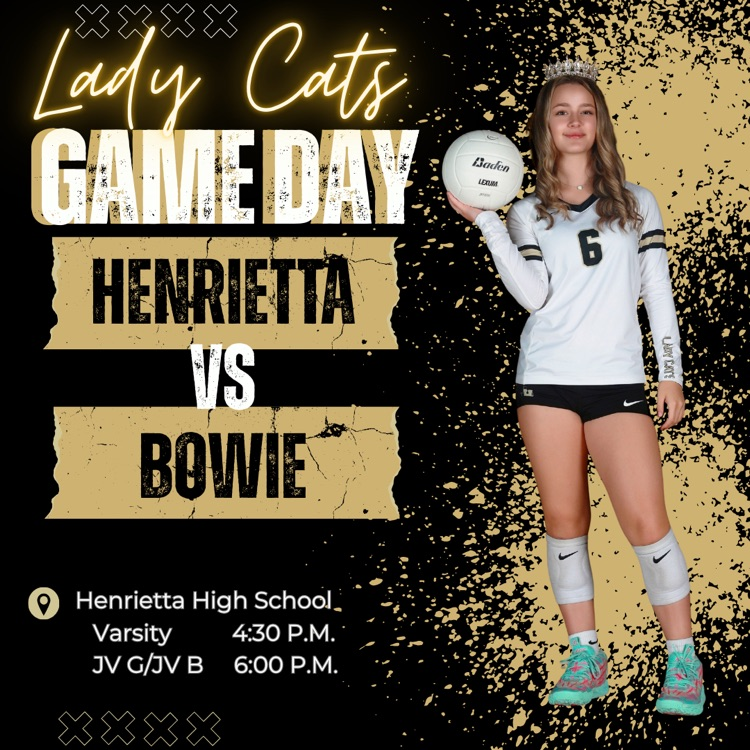 Lady Cats vs Bowie