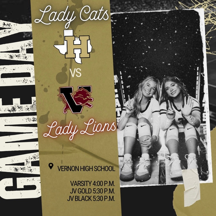 Lady Cats vs Lady Lions