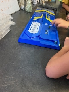 6th grade learning about types of potential energy.