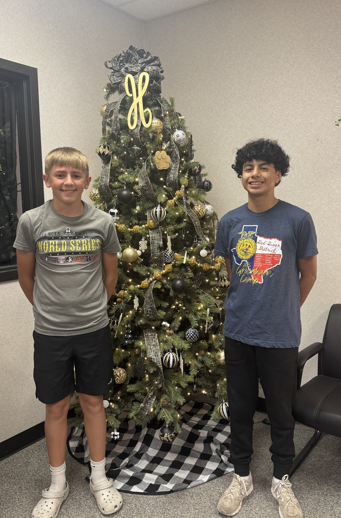 Putting up the Christmas tree at HJH!