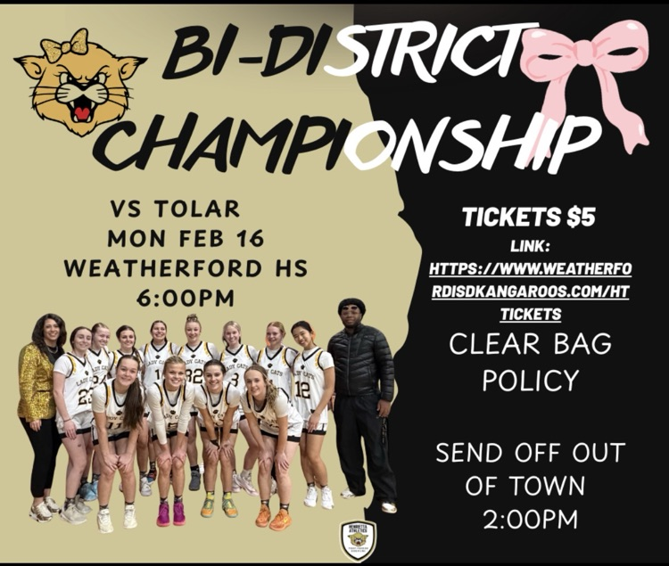 ladycat bi district game post 