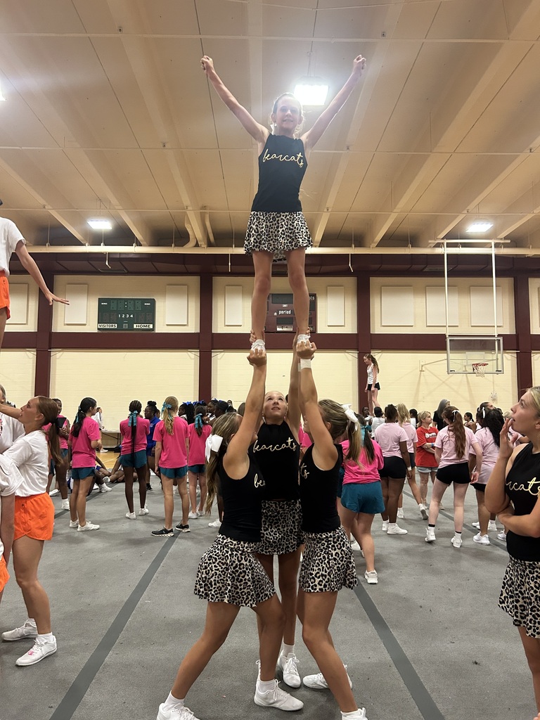Group of cheerleaders in black uniforms with cheetah print skirts, one cheerleader on top of two others in an indoor gym.