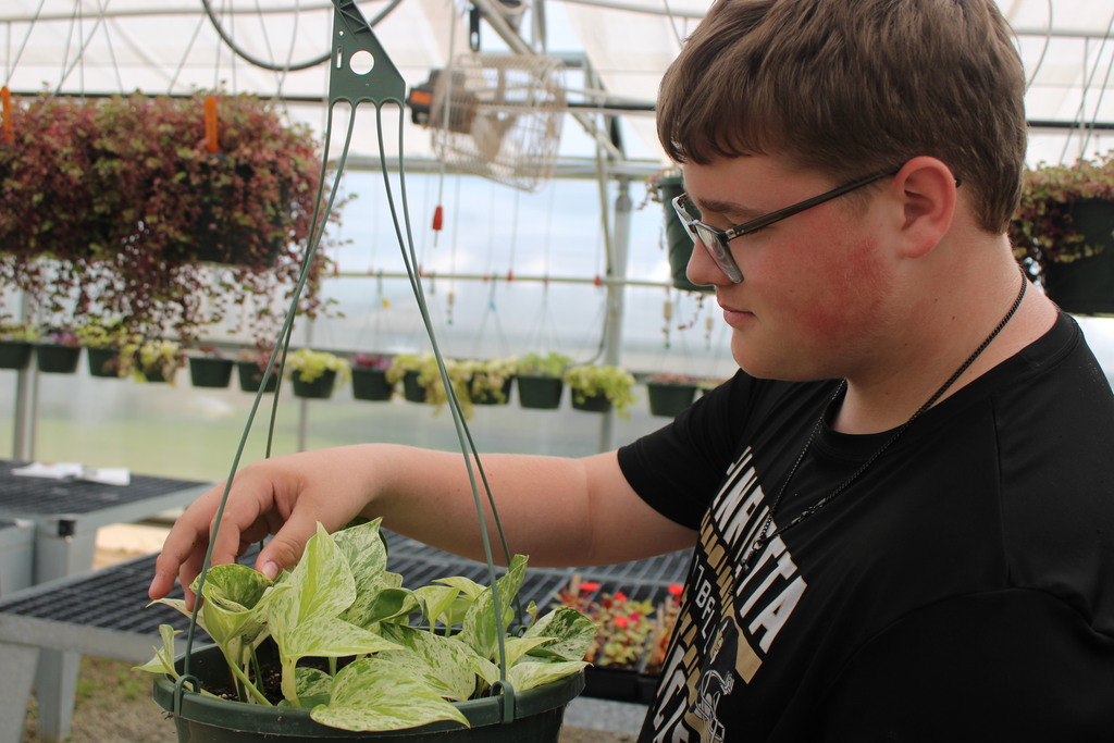 A person wearing a black shirt and glasses hangs a potted plant from a hook in a greenhouse.