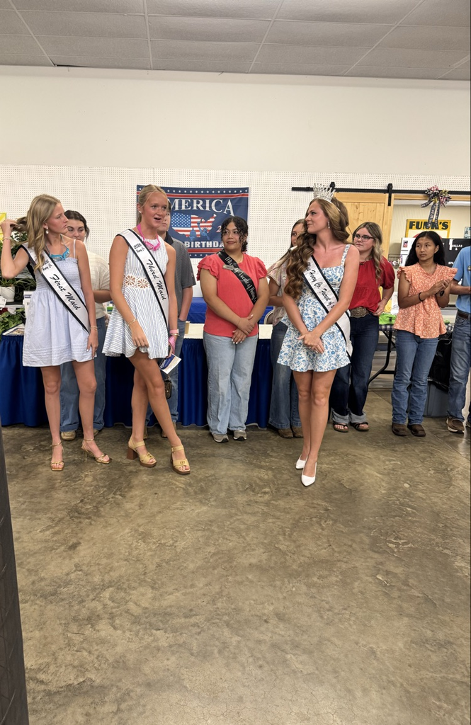 Court 3