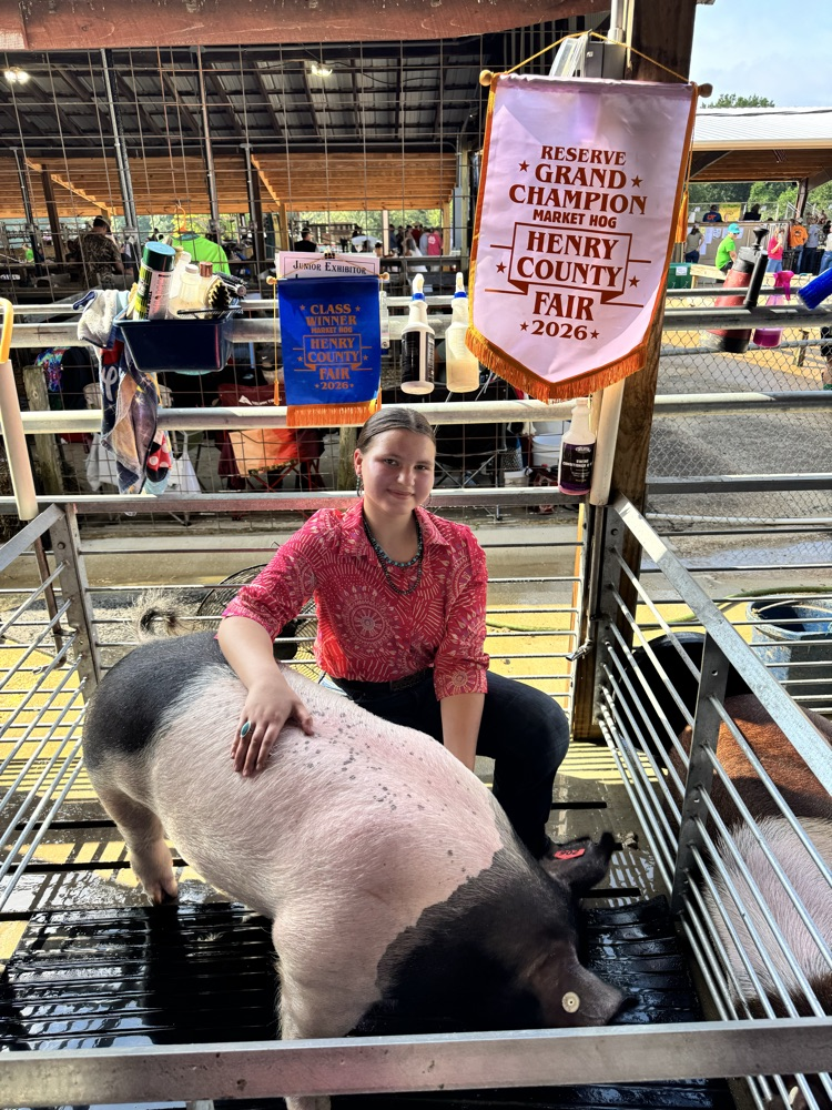 Fair 2