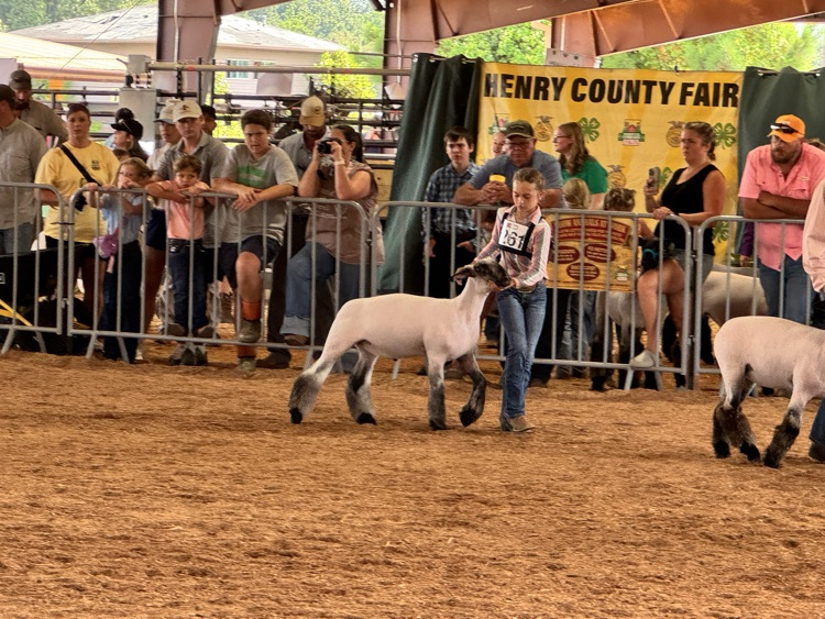 Fair 4