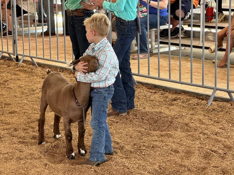 Fair 5