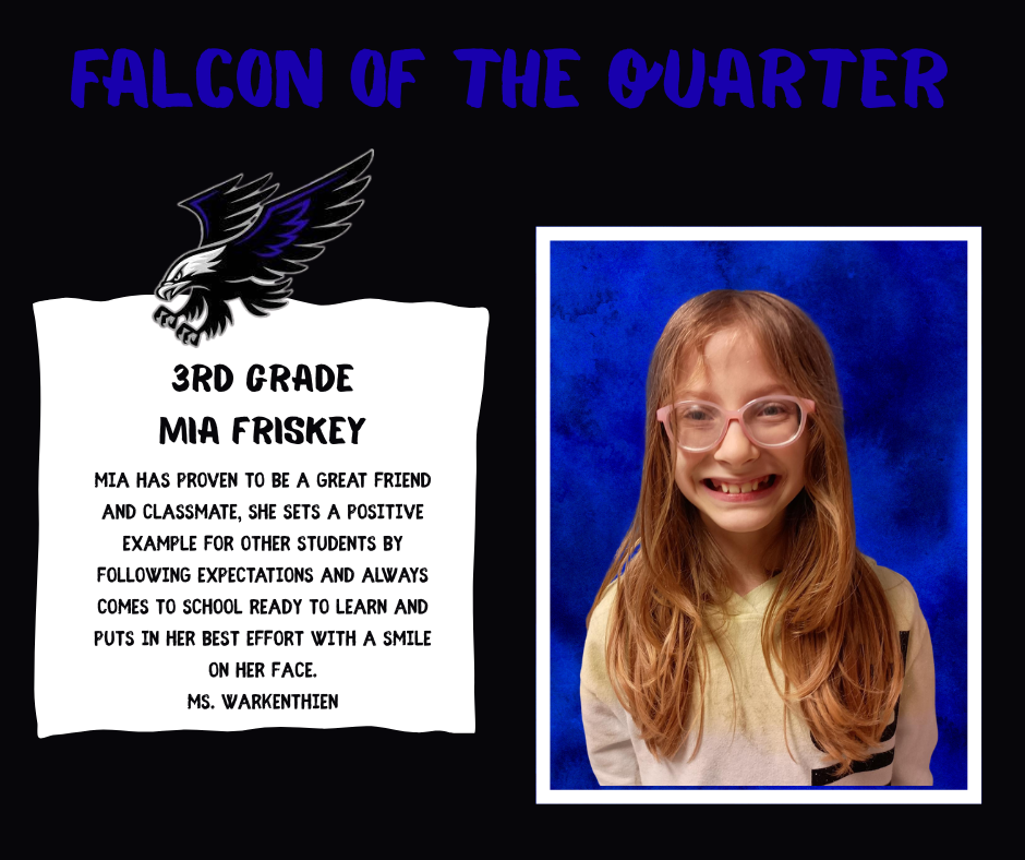 1st Quarter