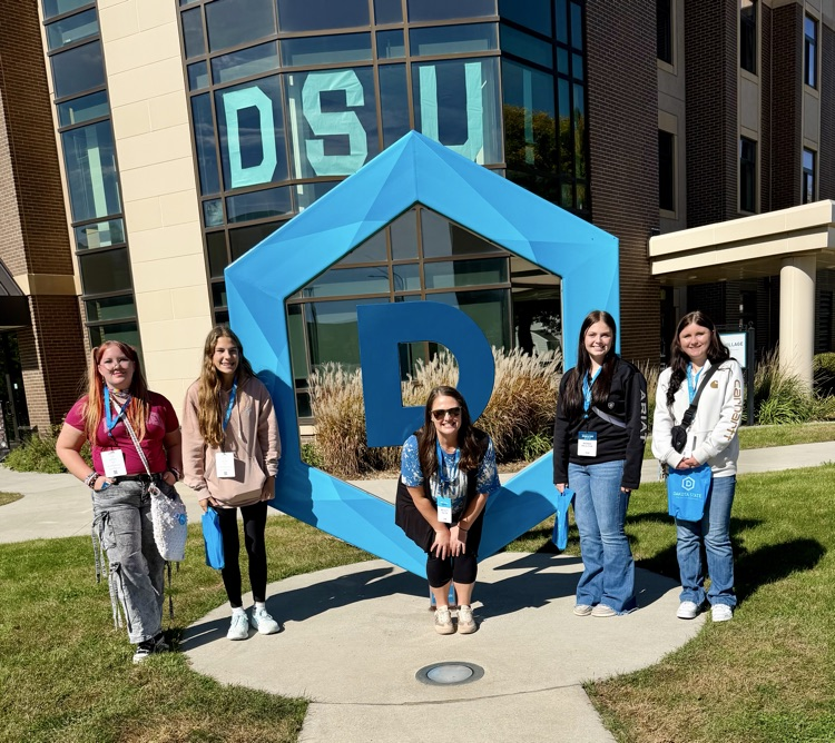 DSU