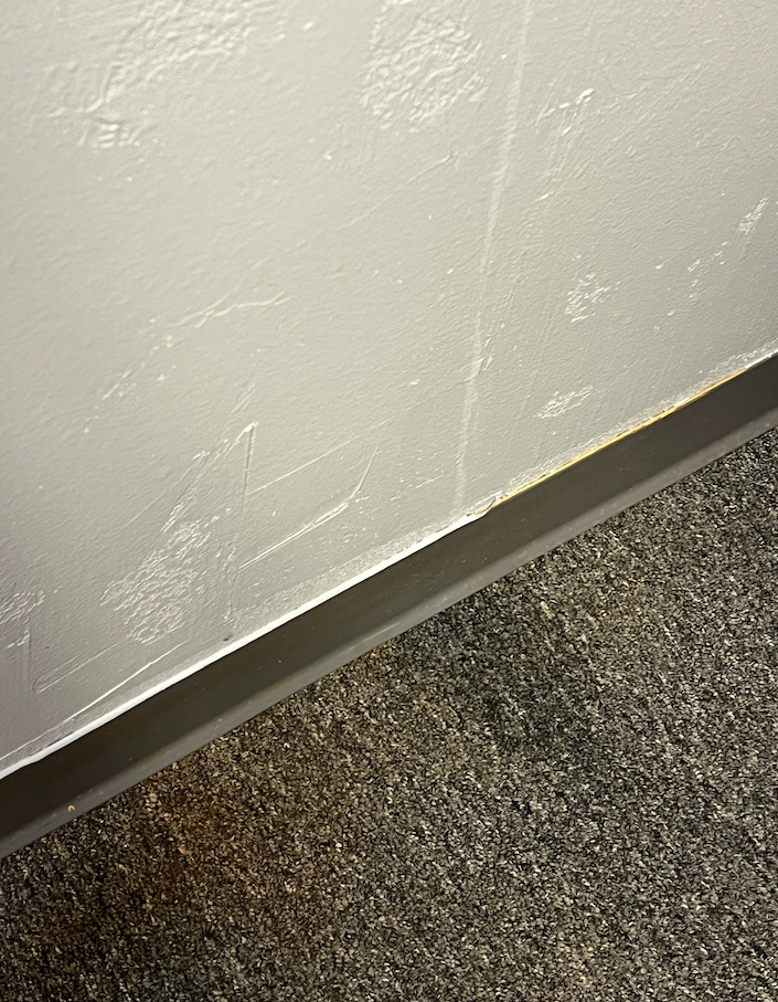 Screenshot 2026-03-11 at 7