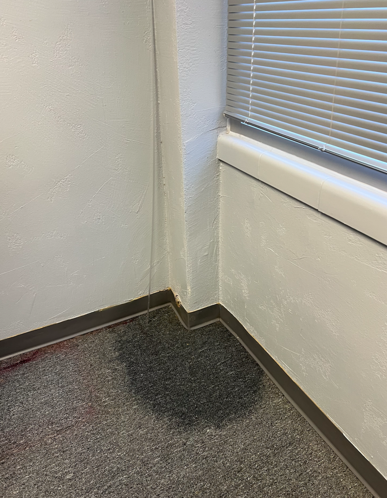 Screenshot 2026-03-11 at 7