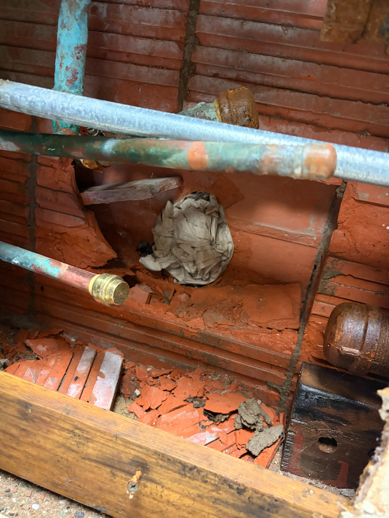 Screenshot 2026-03-11 at 7