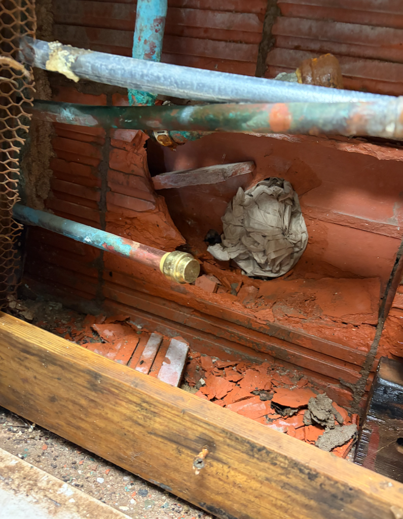 Screenshot 2026-03-11 at 7