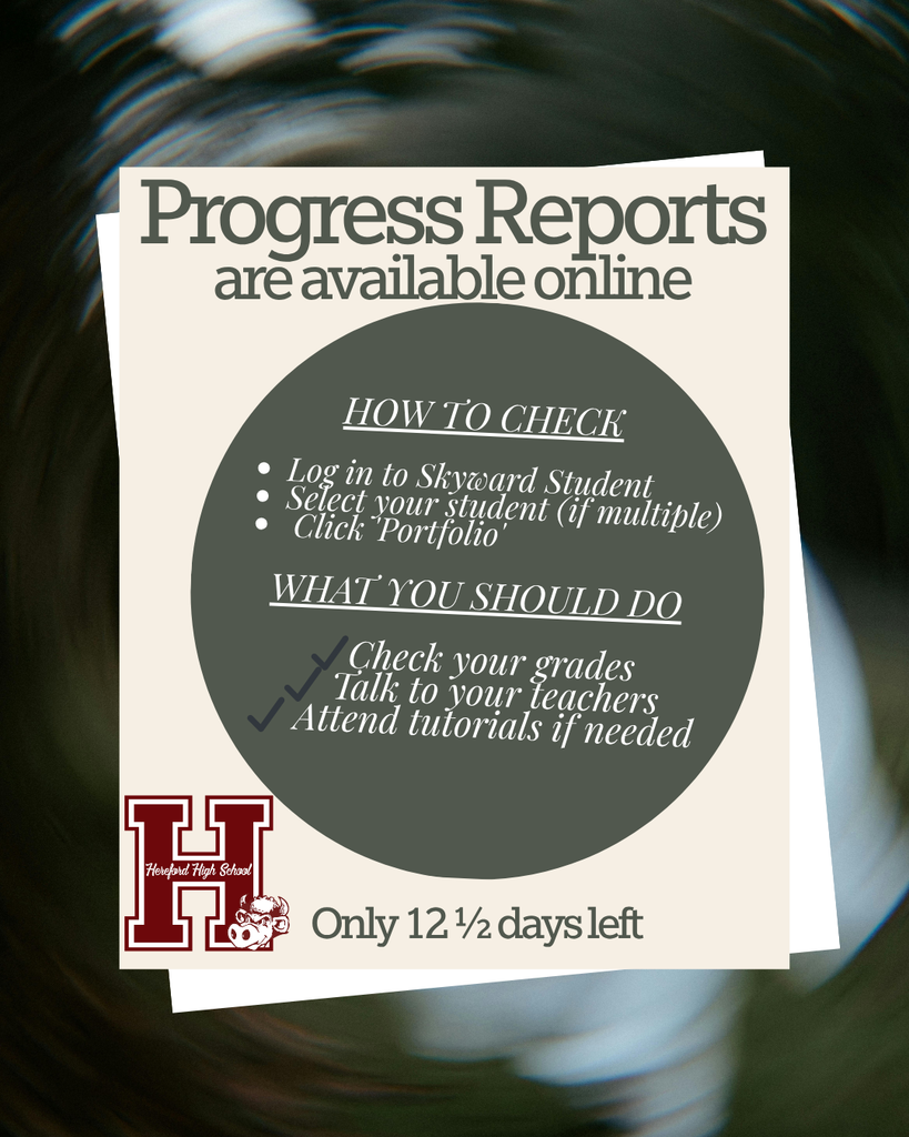 Progress Reports 