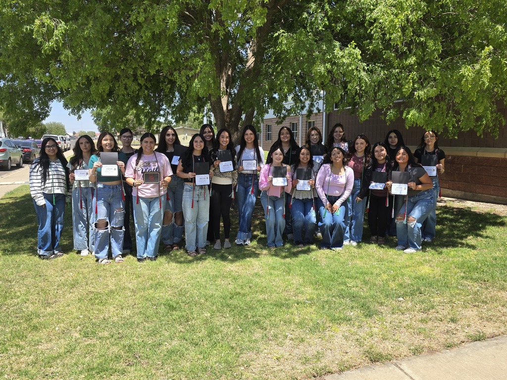 A group of individuals in casual clothing pose under a tree, holding certificates. The grass is green, and there are cars parked.
