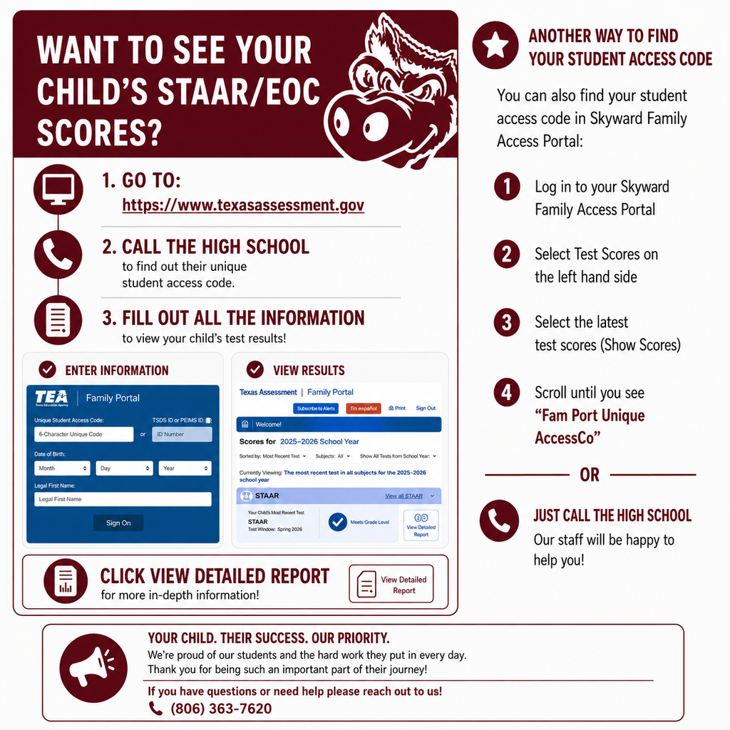 Parent Portal Flyer 