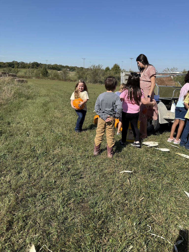 finding pumpkins