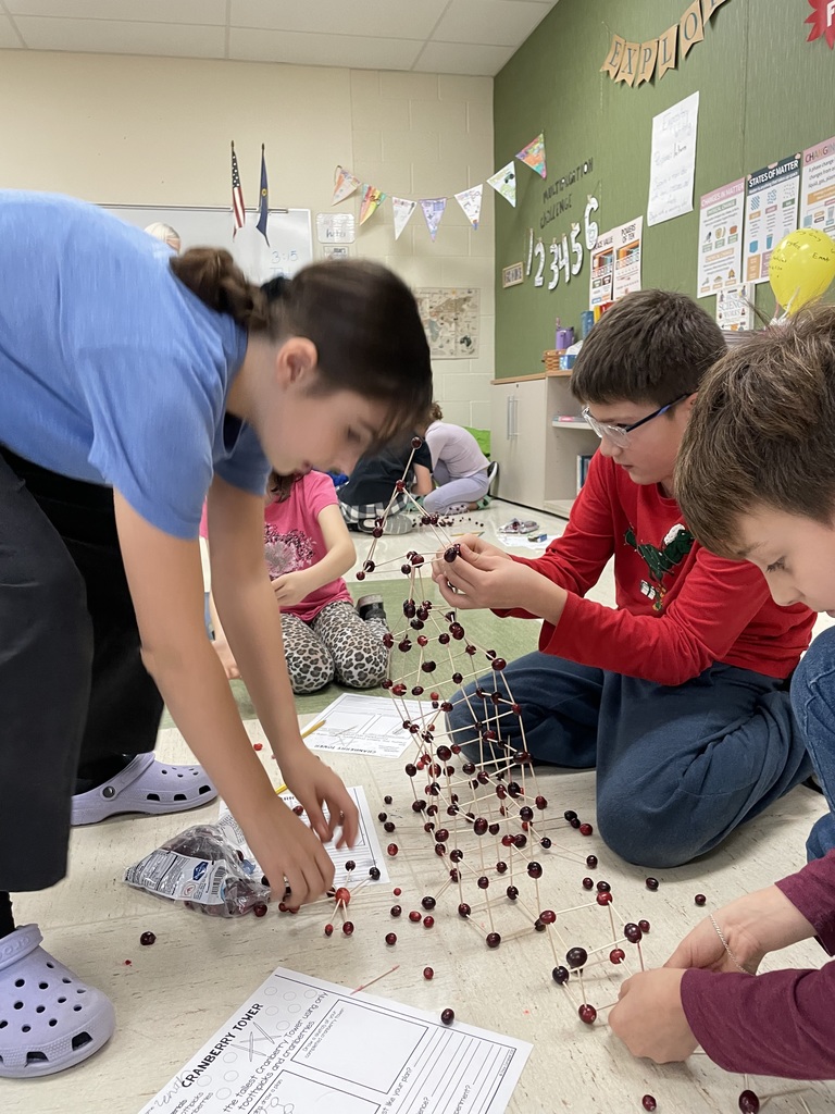 Cranberry building challenge