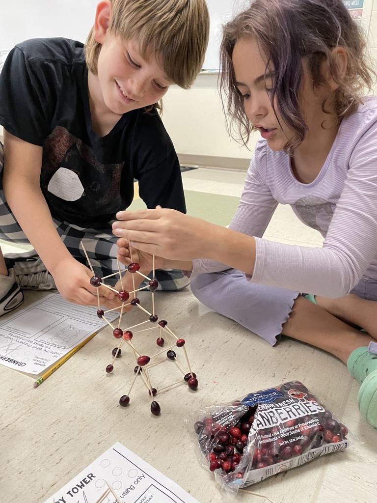 Cranberry building challenge