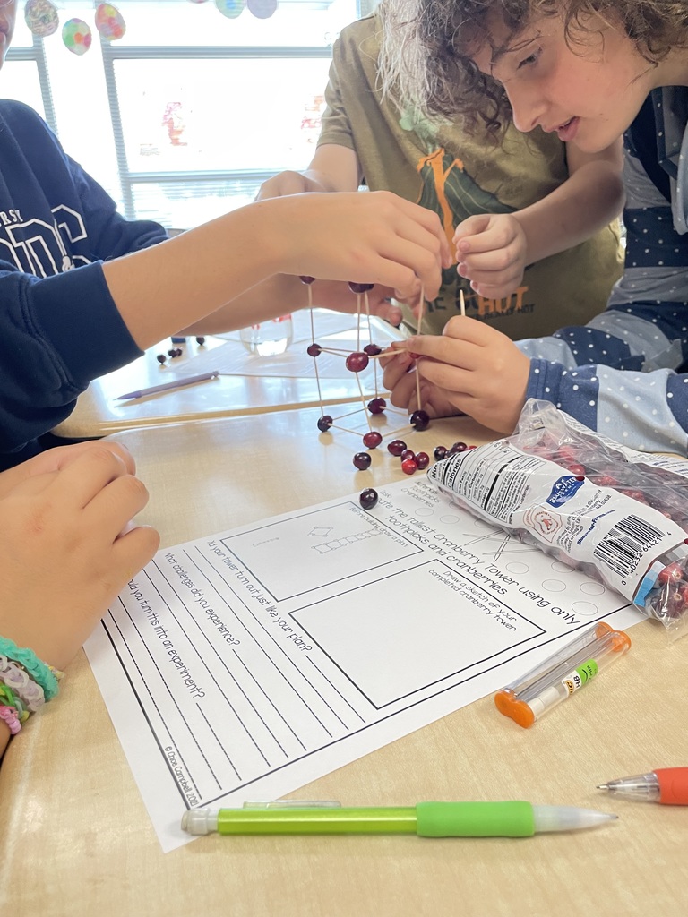 Cranberry building challenge