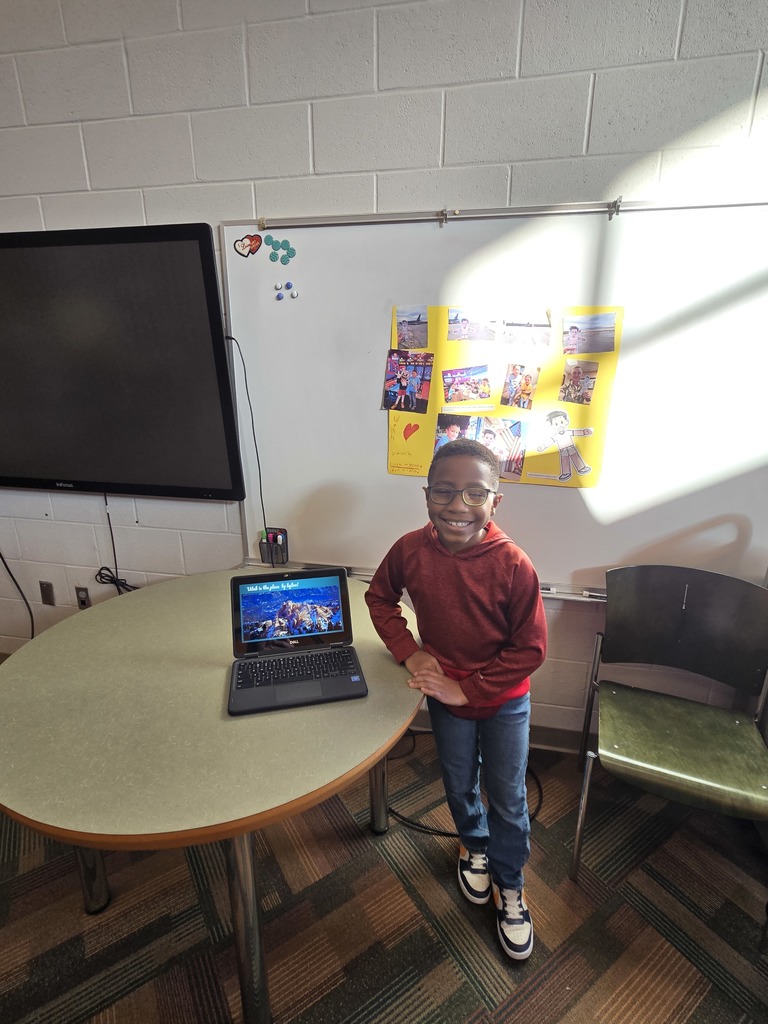 Flat Stanley Project