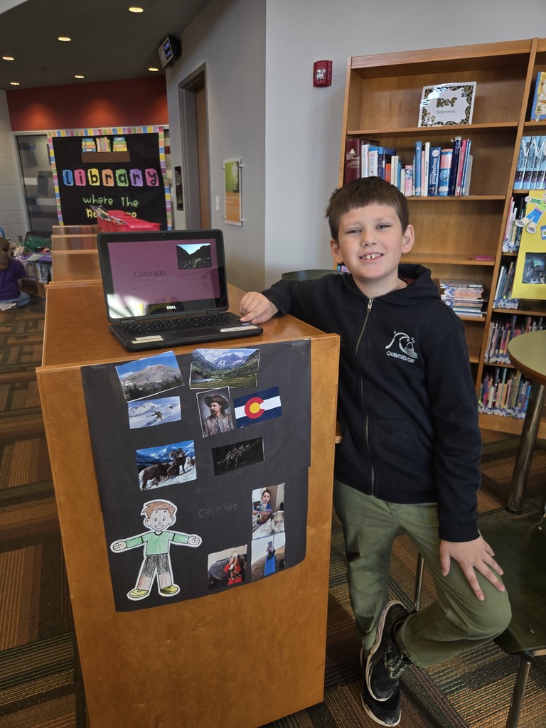 Flat Stanley Project