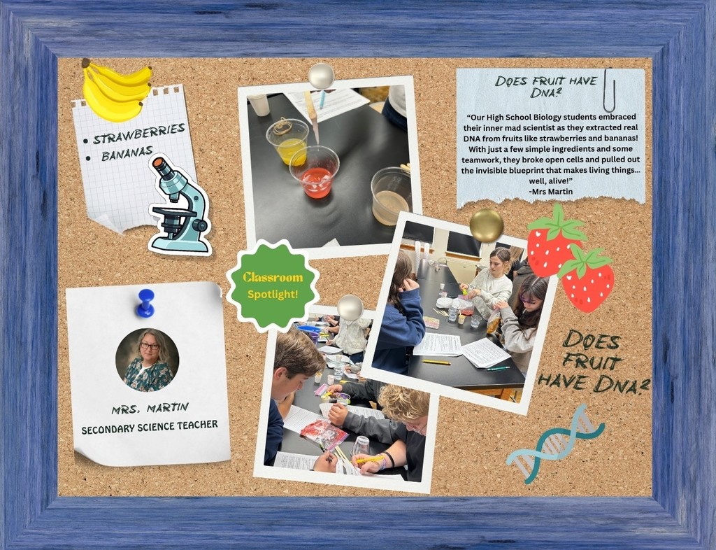 Classroom Spotlight!
