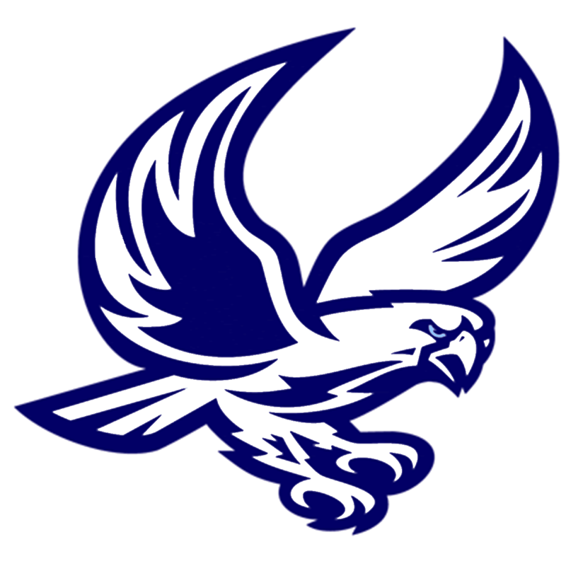 Heritage Falcon