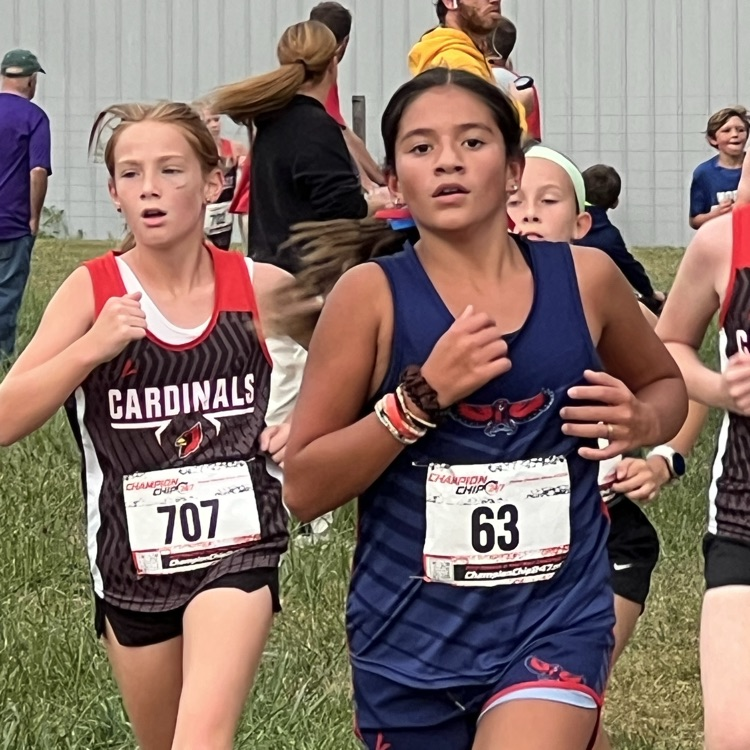 xc