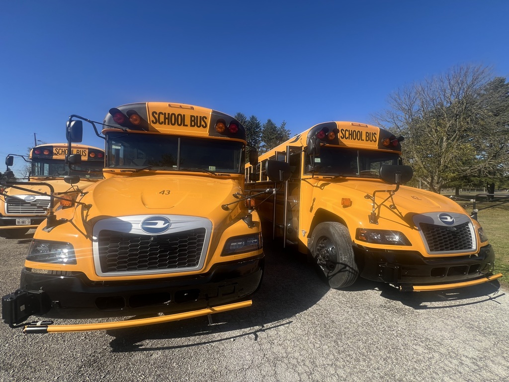 buses
