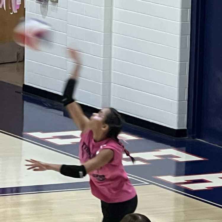 vb