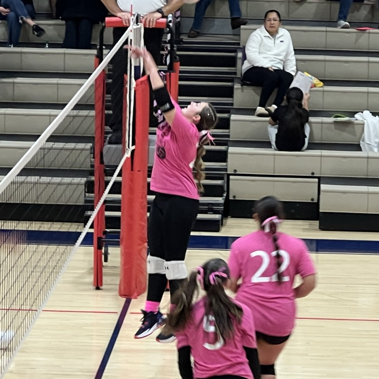 vb