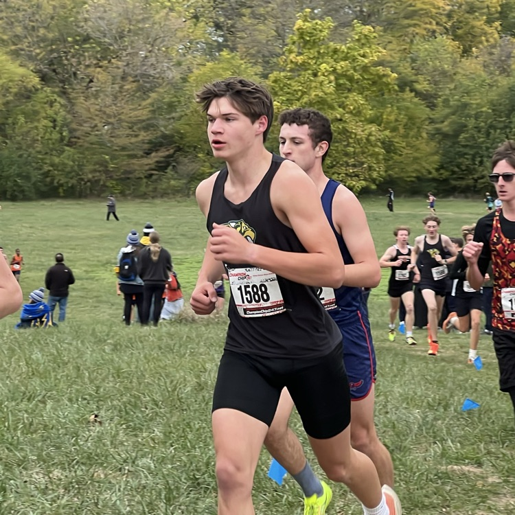 xc