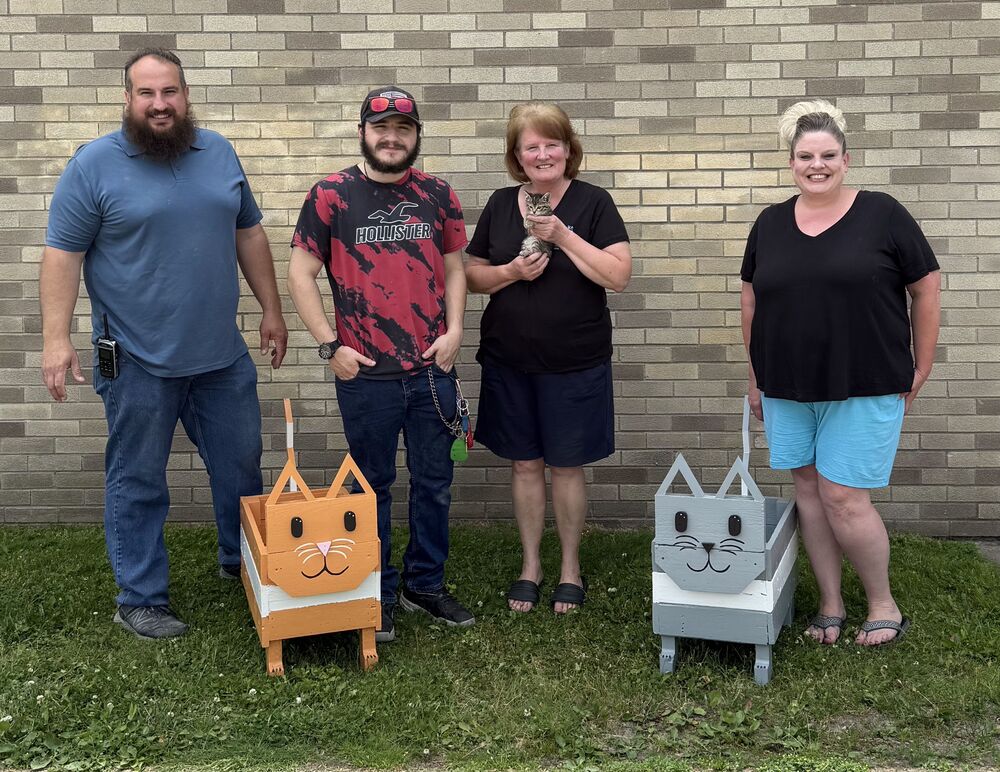 Four people, a kitten and two cat-themed flower boxes