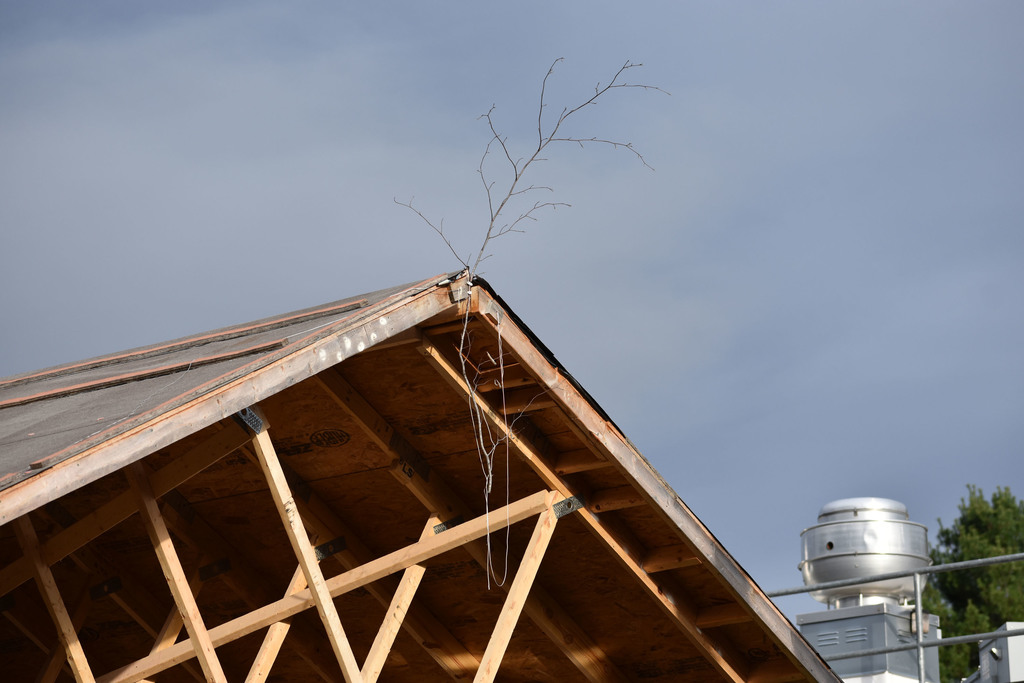 Closeup of Building Construction house with a branch on it