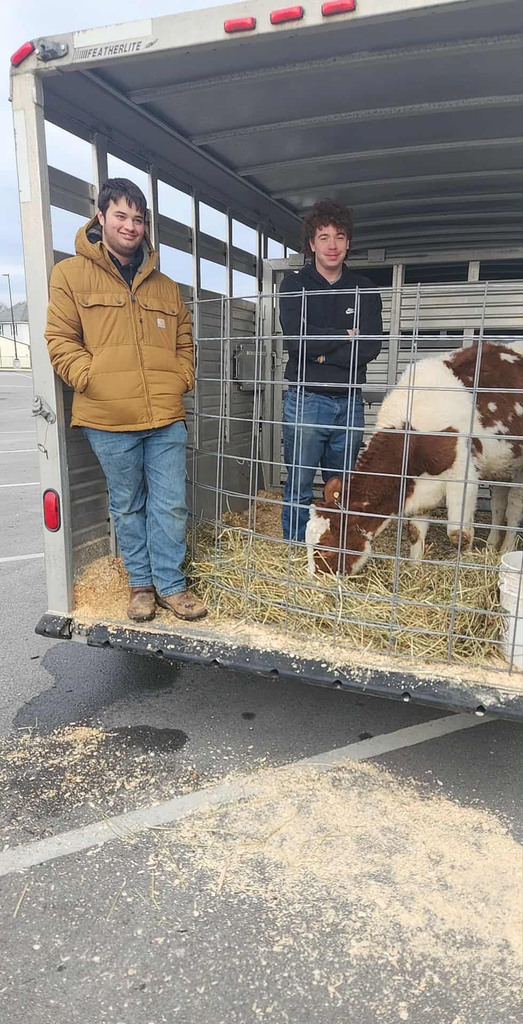 Two students and a cow